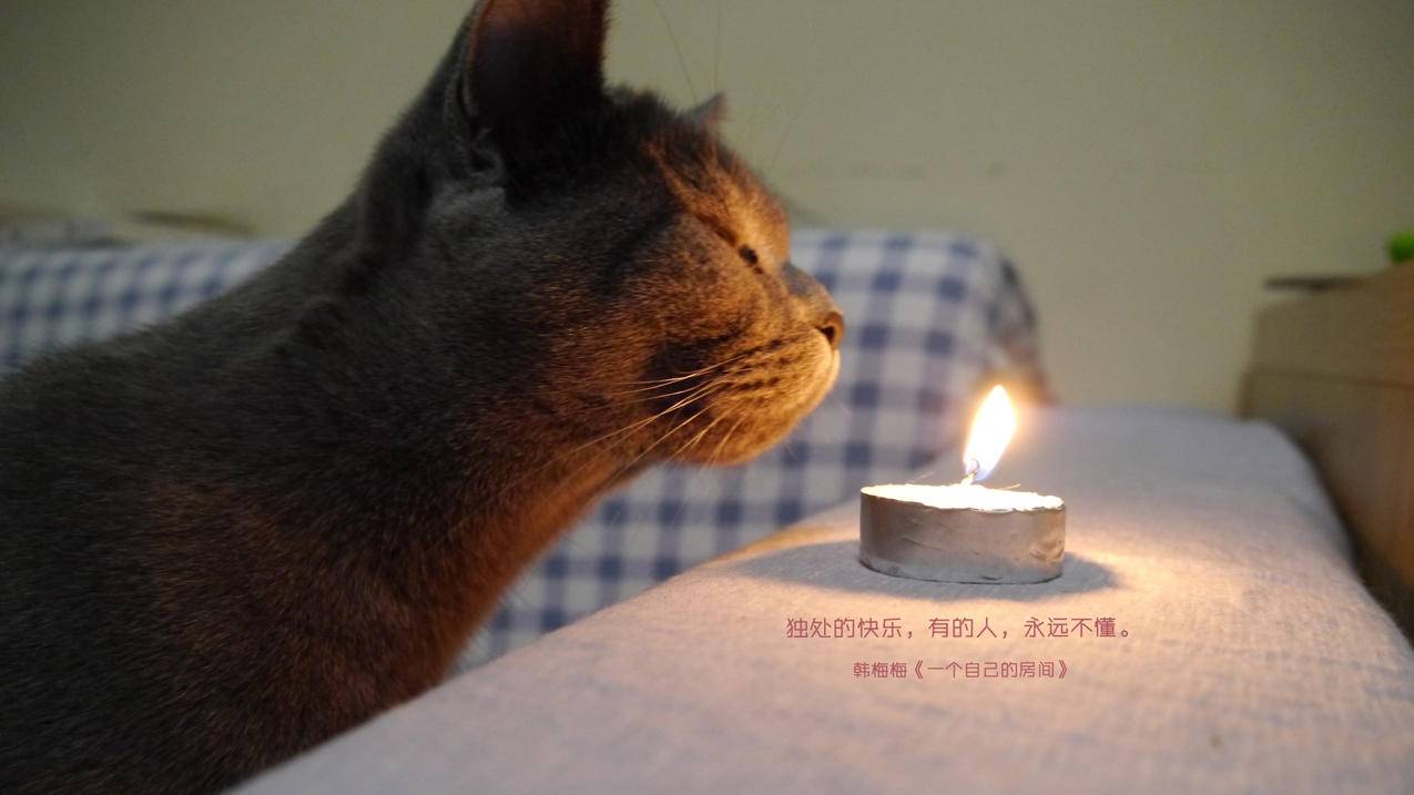 抖音业务真人下单24小时,抖音真人点赞24小时在线微信,抖音双击自助平台24小时全网最低